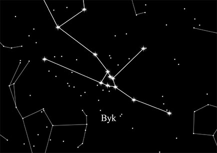 Byk